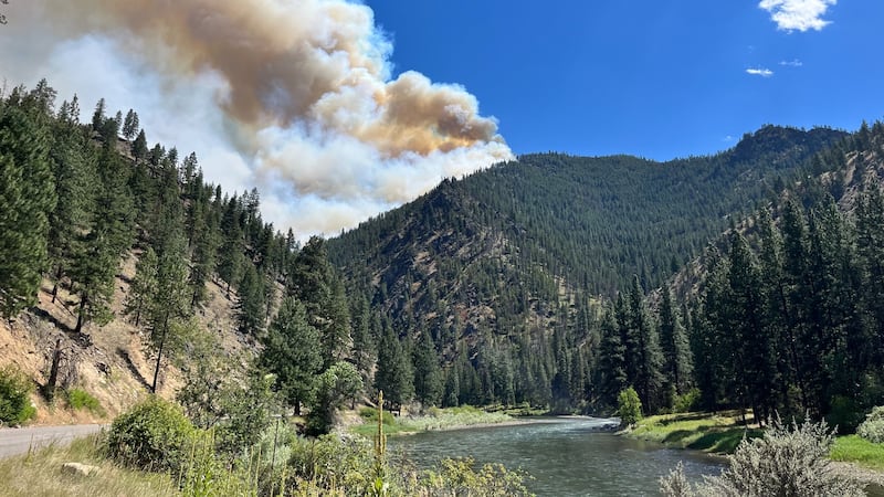 The Moose Fire continues to grow