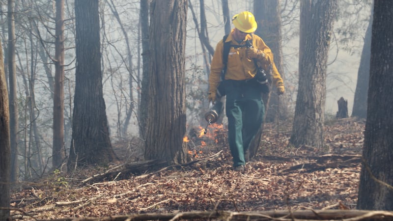 A Natural Resources employee takes part in a controlled burn at the Latta Nature Preserve.