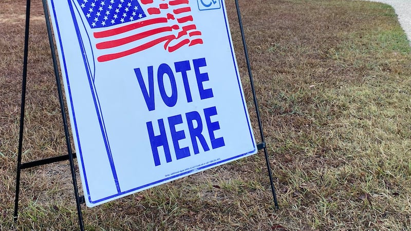 Voting Sign