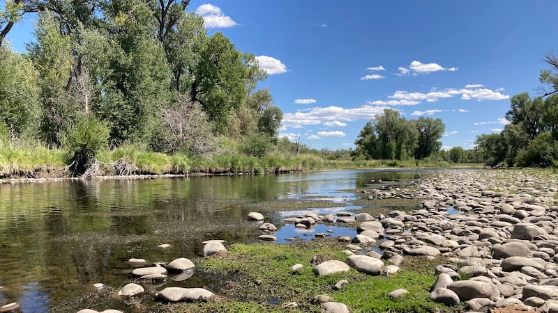 Exposed rocks and aquatic plants are seen alongside the North Platte River at Treasure Island...