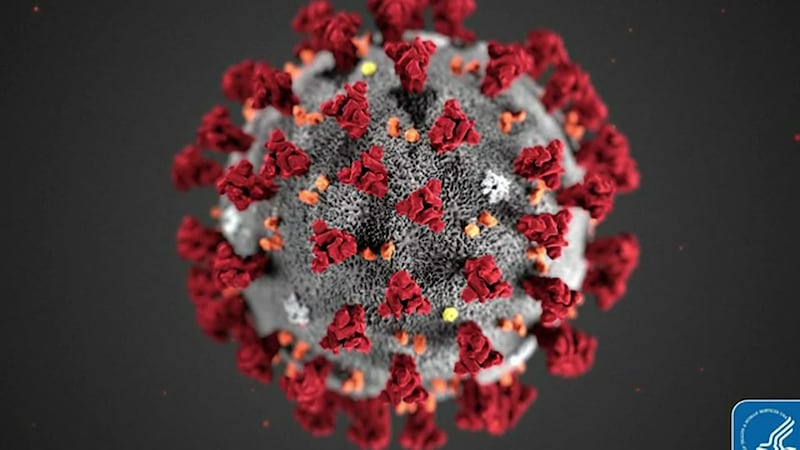 An illustration from the Centers for Disease Control and Prevention showing the coronavirus...