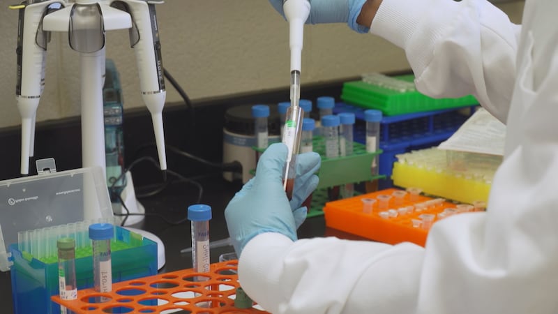 Phlebotomist Recognition Week is well underway. Phlebotomists are crucial in providing lab...